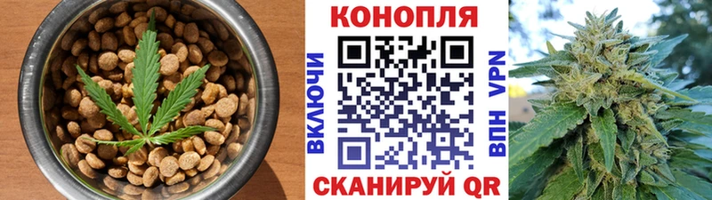 где можно купить наркотик  ссылка на мегу зеркало  Cannafood марихуана  Арсеньев 