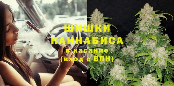 ПСИЛОЦИБИНОВЫЕ ГРИБЫ Алзамай