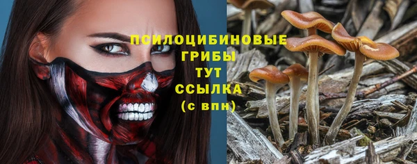 прущая мука Алексин