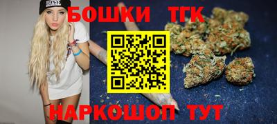 сатива Бердск