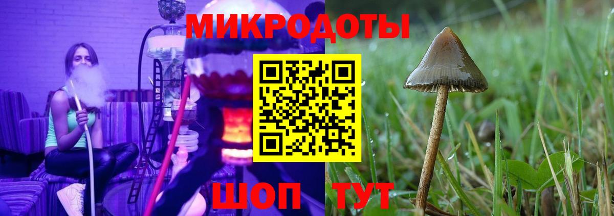 Псилоцибиновые грибы Cubensis  Вход с VPN  Арсеньев  Галлюциногенные грибы прущие грибы 