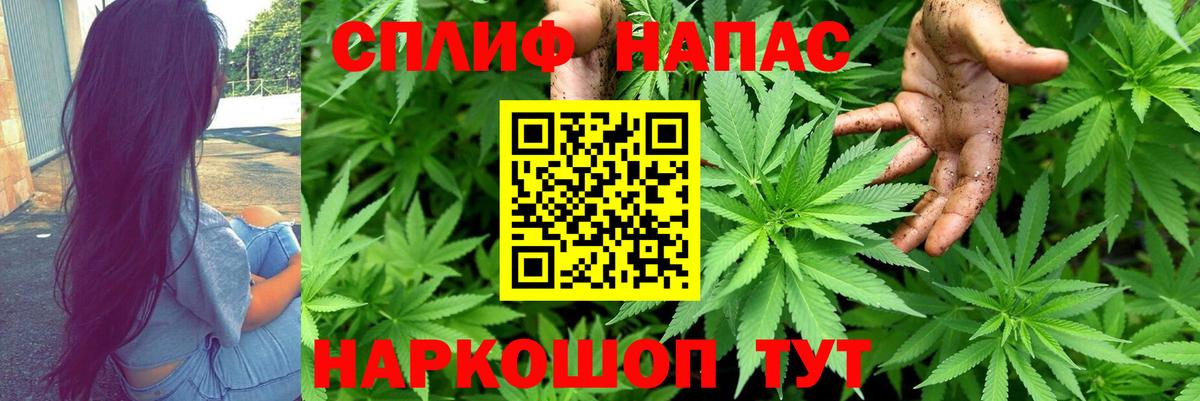 Бошки марихуана сатива  Бошки марихуана конопля  Вход с VPN  Арсеньев 